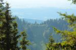 2014-07-05_Laengental-N-Hochweg (727). JPG